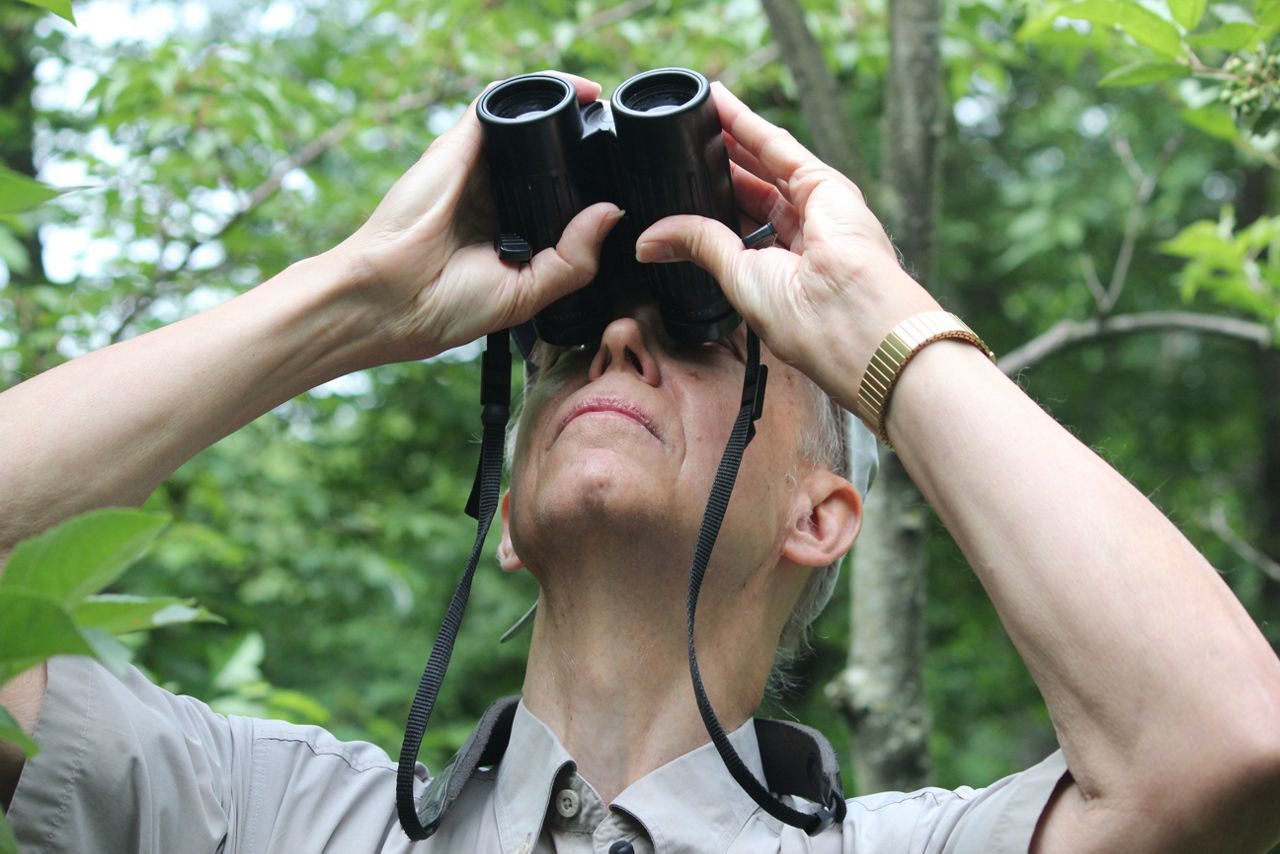 why-bird-watchers-flock-to-central-park